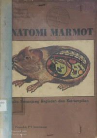 Anatomi Marmot