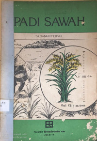 Padi Sawah
