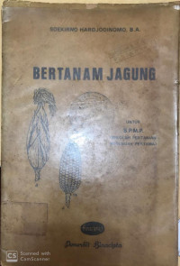 Bertanam Jagung