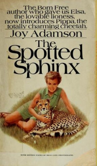 The Spotted Sphinx