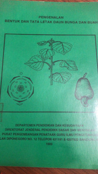 Pengenalan Bentuk dan Tata Letak Daun Bunga dan Buah