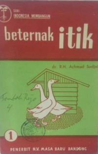 Beternak Itik